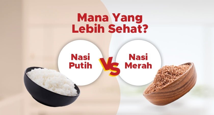 Makan Nasi Setiap Hari: Sehat atau Malah Penyebab Diabetes dan Gemuk?