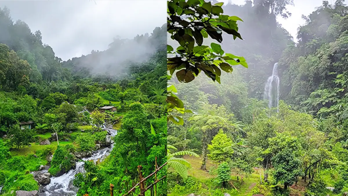Curug Manglid Cidahu Sukabumi: Pesona Air Terjun Hijau yang Masih Asri